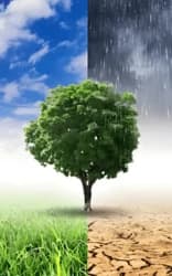 The Climate Corporation